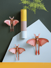 Load image into Gallery viewer, Comet Butterflies Wall Art - Set of 3