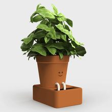 Load image into Gallery viewer, Self Care Planter
