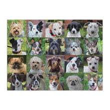 Load image into Gallery viewer, Rescue Dogs 1000 Piece Puzzle
